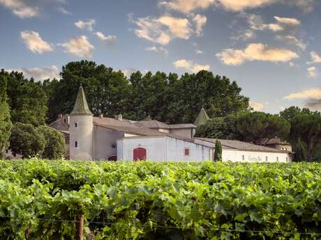 Balade gourmande à Château Bas