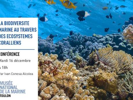 Conférence - La biodiversité marine au travers des écosystèmes coralliens