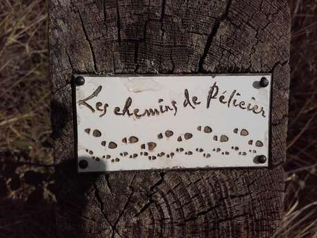 MANOSQUE - Les chemins de Pélicier