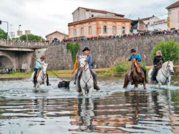Feria - Lacher d’anoubles