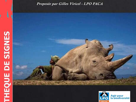 Conférence « Sommes-nous dans la 6e extinction massive des espèces ? »