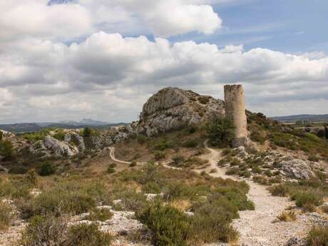 LE PARADOU - Les Tours de Castillon