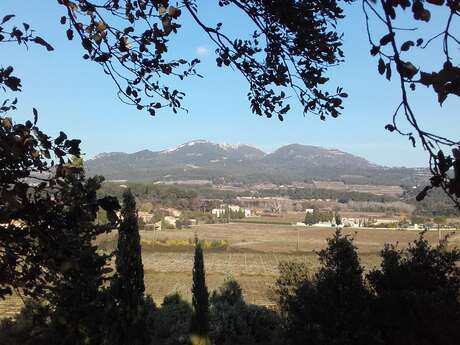 Circuit pédestre - Espace Coste de Coa