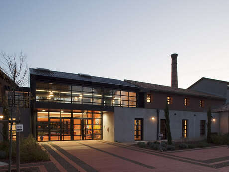 Stage terre et clowns