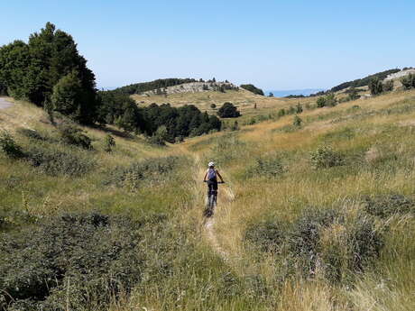 VTT sur la montagne de Lure