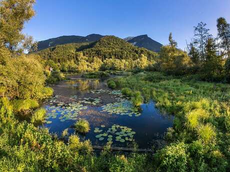 Couleurs végétales, avec Diane Loury