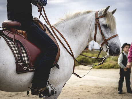 Journée pédagogique organisée par l’ACTE au Bouvau d’Aubanel