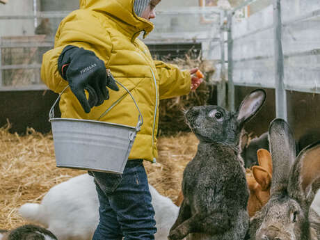 La Ferme de la Marinette - Visite ferme pédagogique