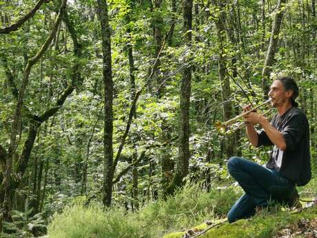Musique en chemin