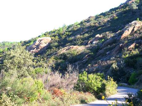 Les Roches Blanches -Rando 5