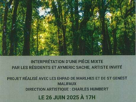 Concert en immersion sonore