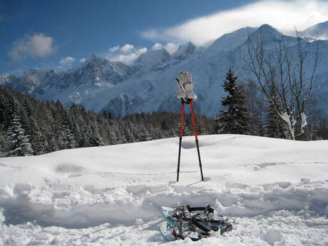 Sortie raquettes "La Flatière, face au Mont-Blanc" - Facile
