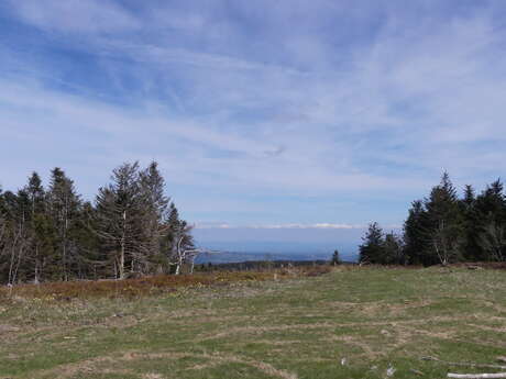 Puy de Montoncel