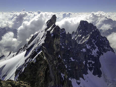 La traversée de la Meije (3 983 m)  avec le bureau des guides