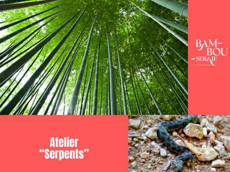 Atelier Serpents