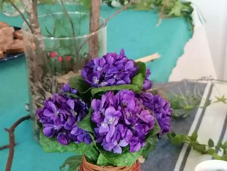 Journée de la violette au Jardin remarquable de Baudouvin