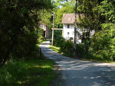 Sentier pédestre " Boucle des deux moulins"