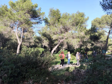 Der Martégale Zontian Stride