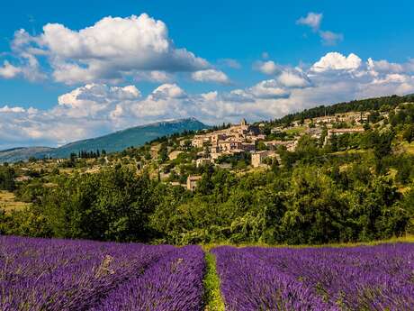 Le village d'Aurel