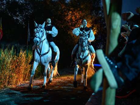 History - Spectacle nocturne