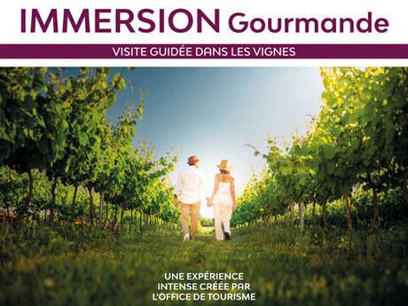 A gourmet immersion: A stroll through the vineyards