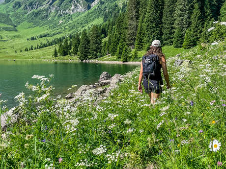 Rando’bus Morillon  – Sixt Fer-à-Cheval par Les Grands Vans et Refuge de Gers