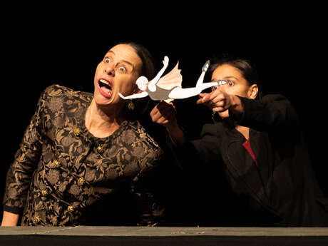 Hector et le cirque extraordinaire