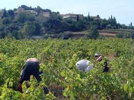 Domaine Chiniard