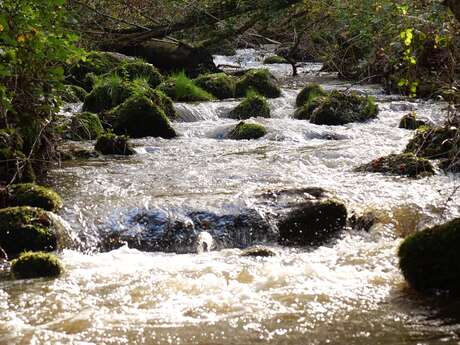 Rando patrimoine " La vallée du Madet "