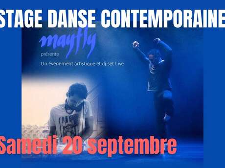 Stage de Danse Contemporaine