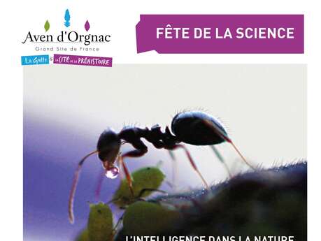 Fête de la Science à l'Aven d'Orgnac : atelier l’intelligence dans la nature...toute une Histoire