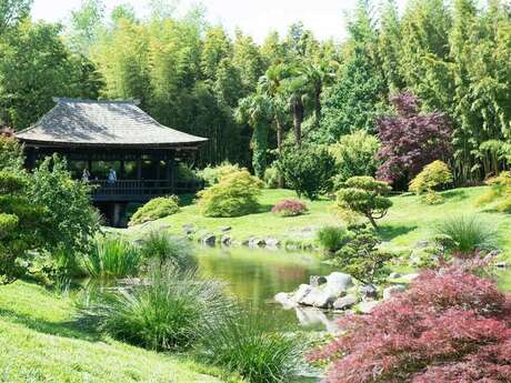 Echos des lisières -  Inventons nos chouettes vies bas carbone !