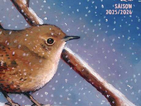 Programme Traces Douces