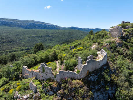 Castrum du Vieux Nans