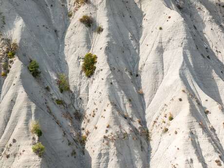 Exposition "Paysages géologiques"