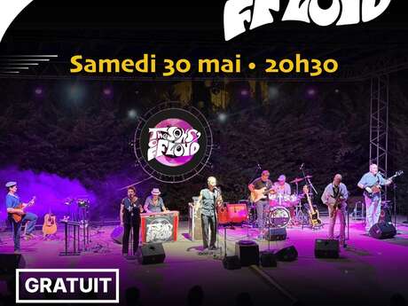 Concert Tribute Pink Floyd