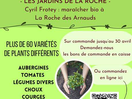 Vente de plants maraichers