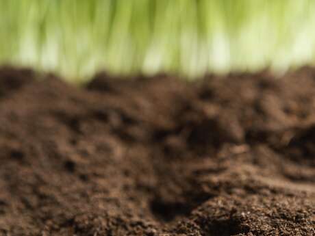 Atelier Altec (6-8 ans) - Le sol sous nos pieds