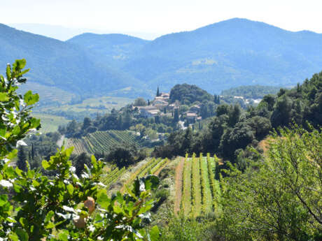 La Ronde des cépages avec Gigondas LaCave