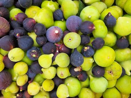 La Figoulade - Fête de la figue de Vézénobres