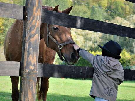 La balade des petitous par Cheval et Provence