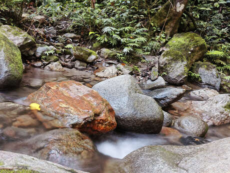 Rando marcher-autrement à Velleron : sentier du canal du moulin