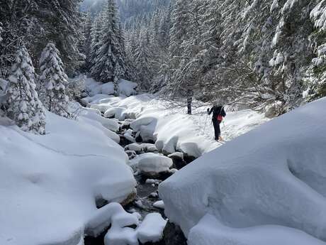 Begleitete Schneeschuhwanderung