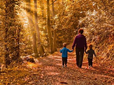 Randonnée caritative des Dianes