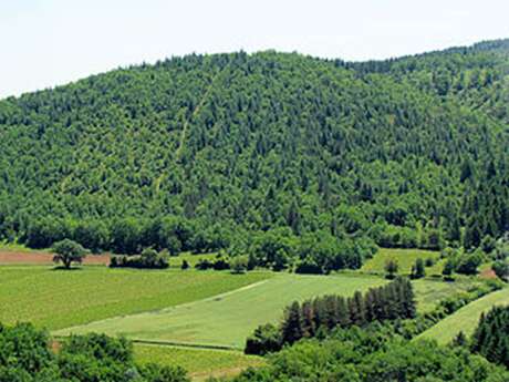 PR2 Verfeil-sur-Seye - Le sentier du geai des chênes