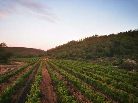 Domaine La Grand Vigne