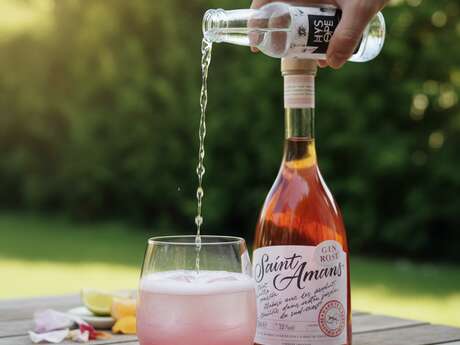 Saint Amans Gin