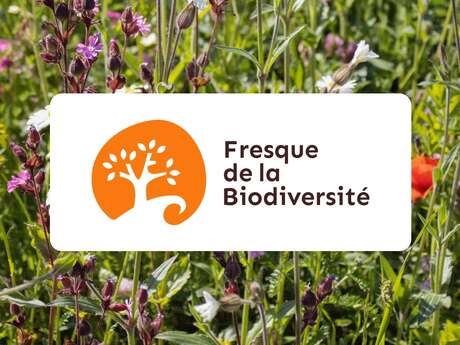 Fresque de la biodiversité