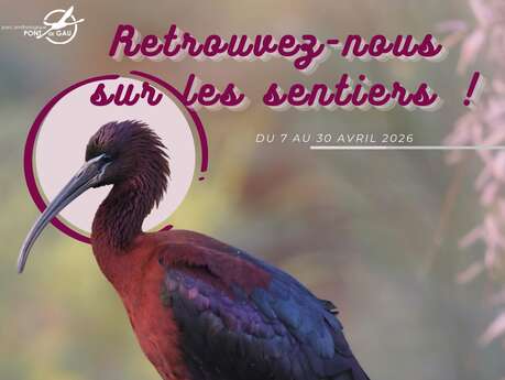 Vacances de Pâques au Parc Ornithologique de Pont de Gau