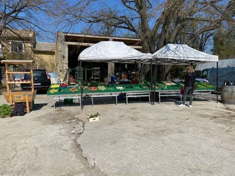 Vente en direct Muriel Pailhon